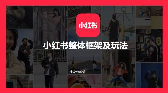种草平台.jpg 种草平台.jpg